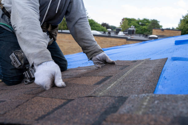 Best Chimney Flashing Repair  in New Freedom, PA