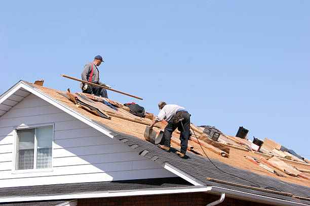 Best Roof Maintenance and Cleaning  in New Freedom, PA